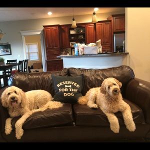 Meet your Posher, Ryan